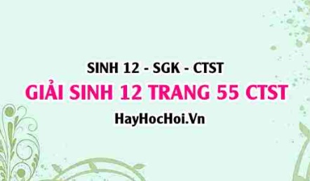 Giải Sinh 12 trang 55 Chân trời sáng tạo SGK